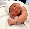 نجات ۴۰۴ نوزاد فارسی از سقط غیرقانونی