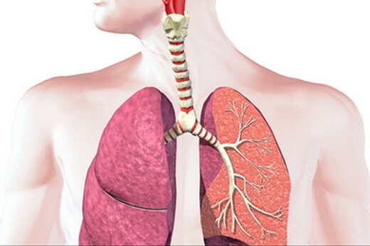 افراد غیرسیگاری دچار بیماری ریوی می‌شوند؟ + جزئیات 