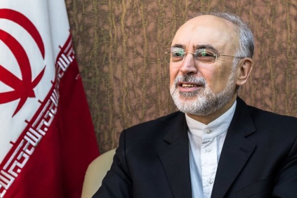واکنش دولت به تحریم رئیس سازمان انرژى اتمى