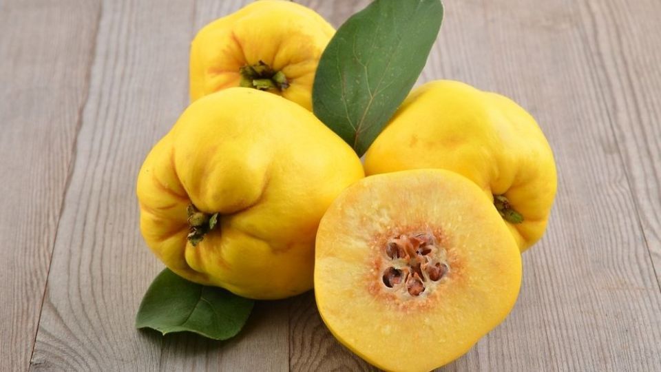 کاهش وزن و رفع بوی بد دهانتان را به دستان این گیاه بسپارید