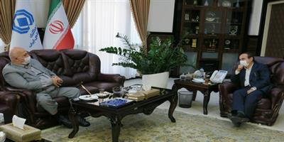 
چالش بزرگ صنعت بیمه همگانی سازی بیمه های اختیاری است
