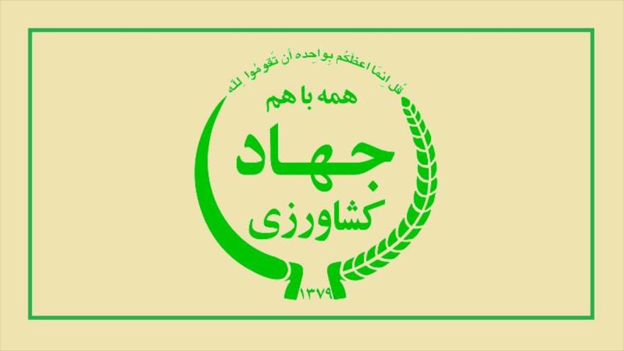 انتصاب سرپرست معاونت امور زراعت وزارت جهاد کشاورزی