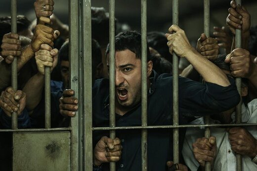کارگردان کلمبیایی: «متری شیش و نیم» از «ایرلندی» بهتر است
