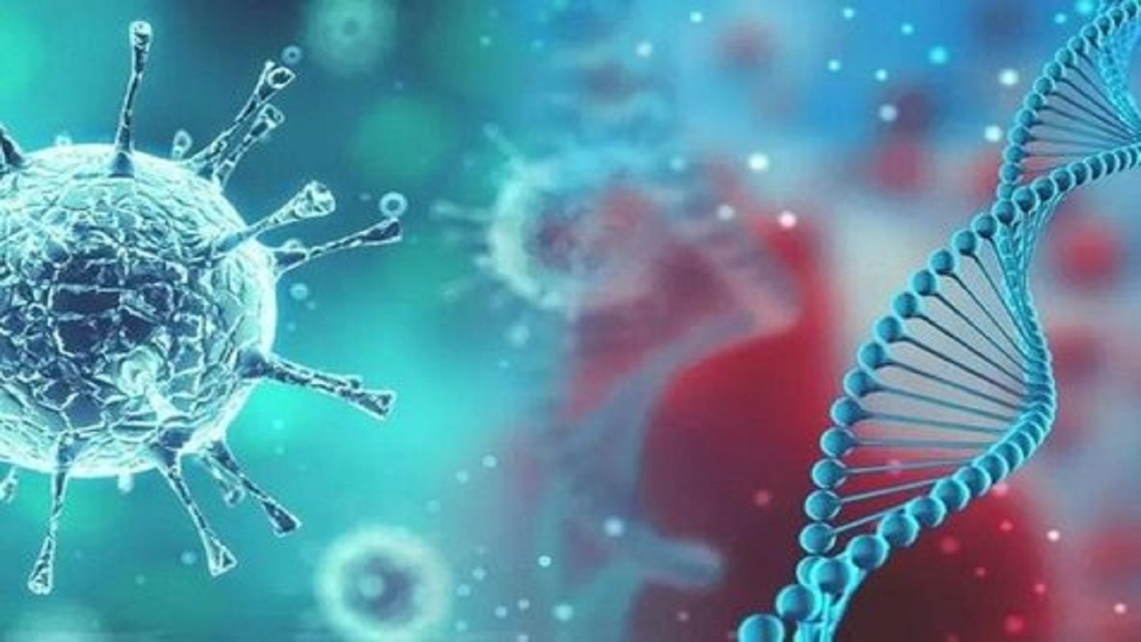 این هورمون خفن کرونا را شکست می دهد
