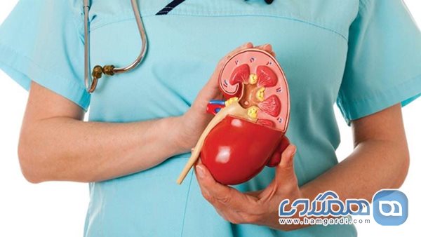 کرونا کلیه را از بین می برد؟