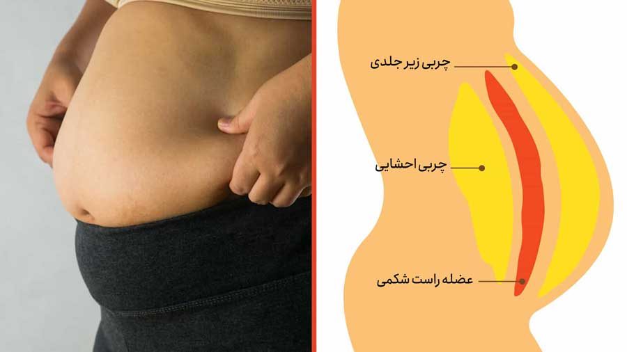 راههای ساده برای لاغری شکم در 20 روز | تا عید شکمتو سریع آب کن 