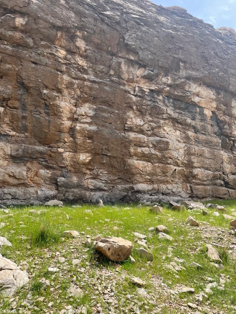کشف راز گمشده کاخ داریوش