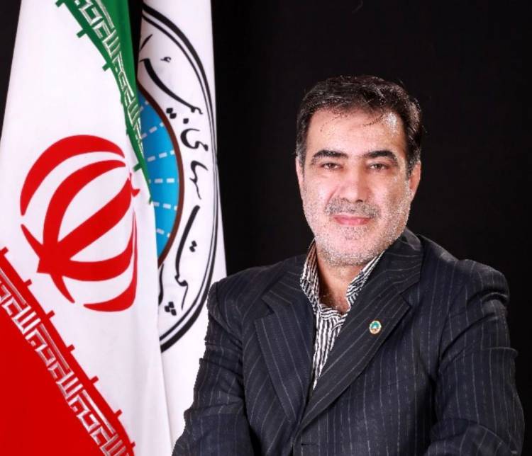 سرپرست بیمه ایران: تاکنون به حدود ۶۳۰۰ زائر اربعین خدمات‌رسانی کرده‌ایم

