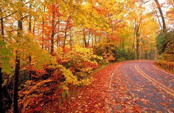 پیام های تبریک تولد برای متولدین آذر ماه