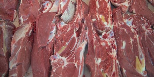 قیمت مرغ و گوشت کاهش پیدا کرد