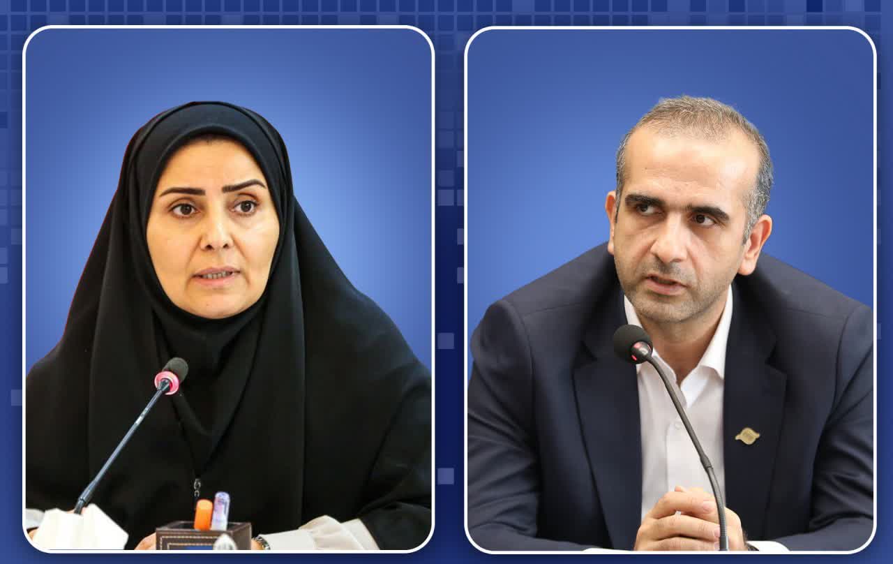 همکاری در زمینه طرح جامع، فرودگاه، و مجتمع‌های بندری منطقه آزاد انزلی
