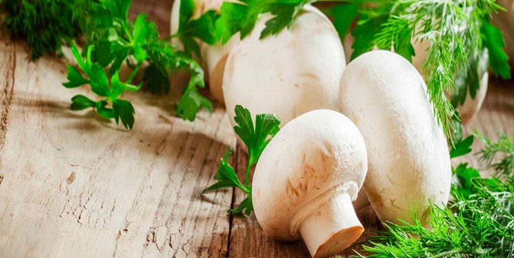 آشنایی با خواص و مضرات قارچ