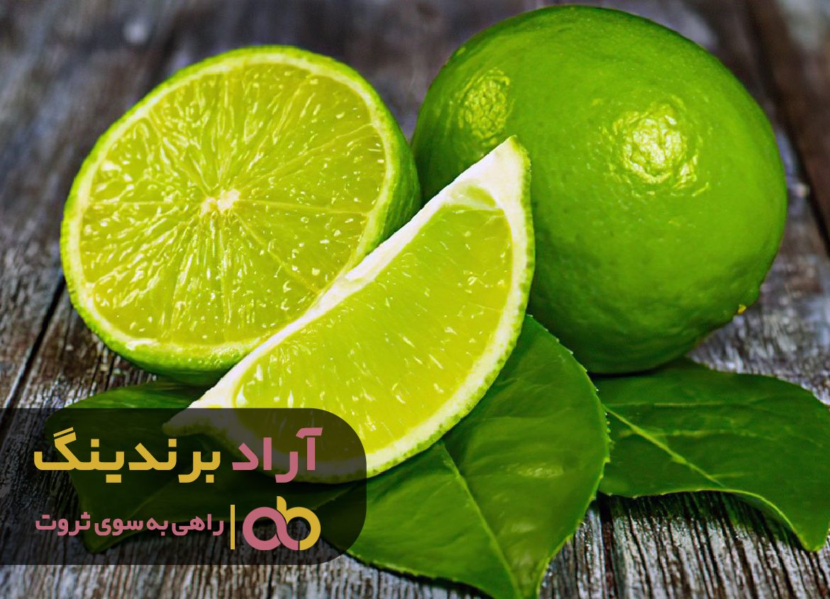 پتانسیل بالای لیمو ترش مرا مولتی میلیاردر کرد