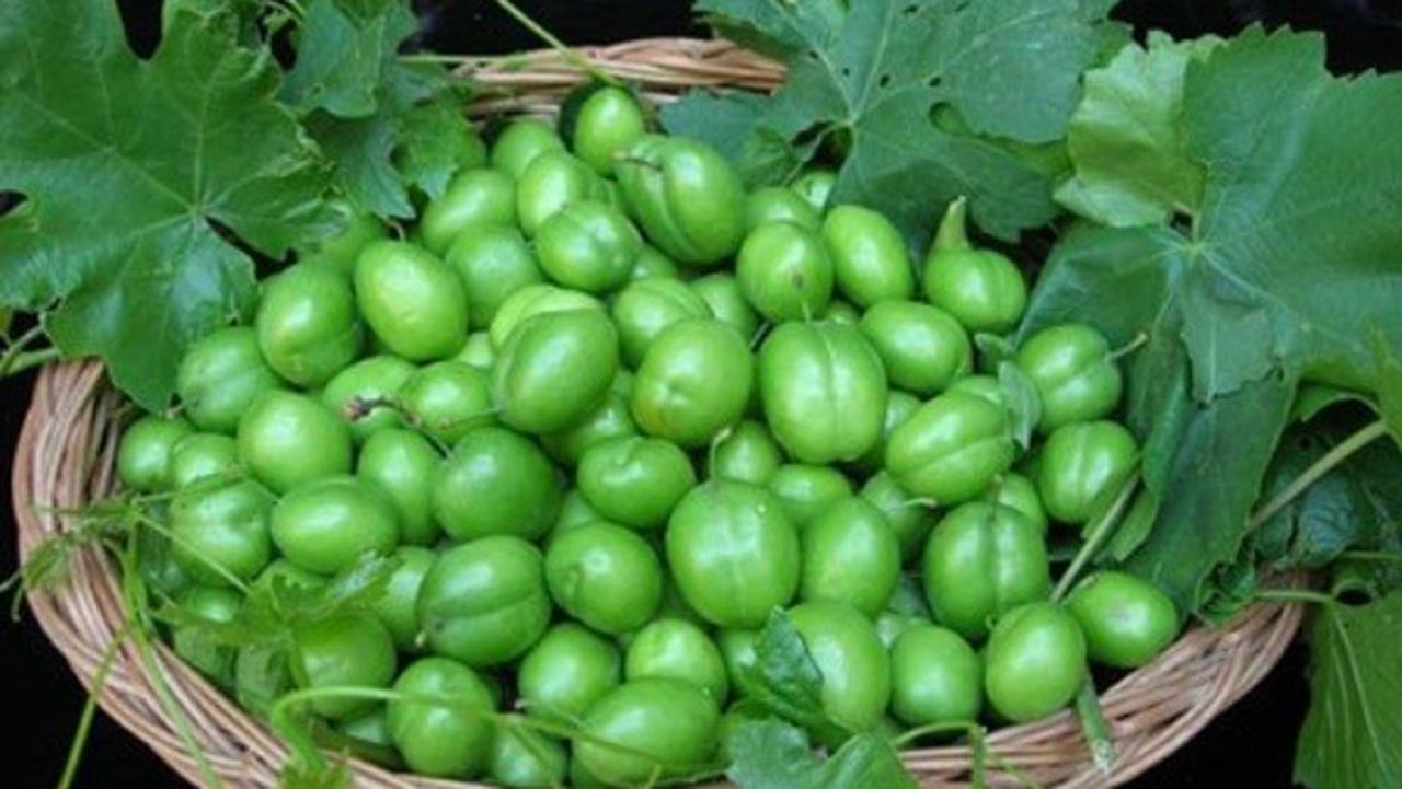 خوردن گوجه سبز برای این افراد ممنوع!