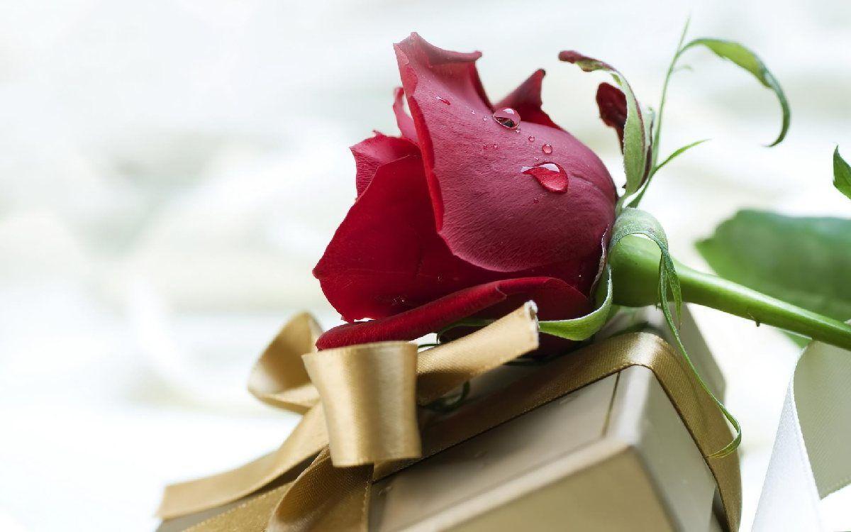 اس ام اس عاشقانه و احساسی