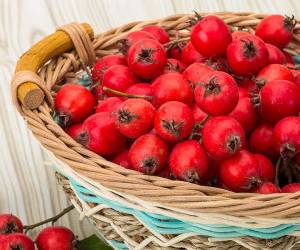 آشنایی با خواص زالزالک یا کویج +عوارض جانبی