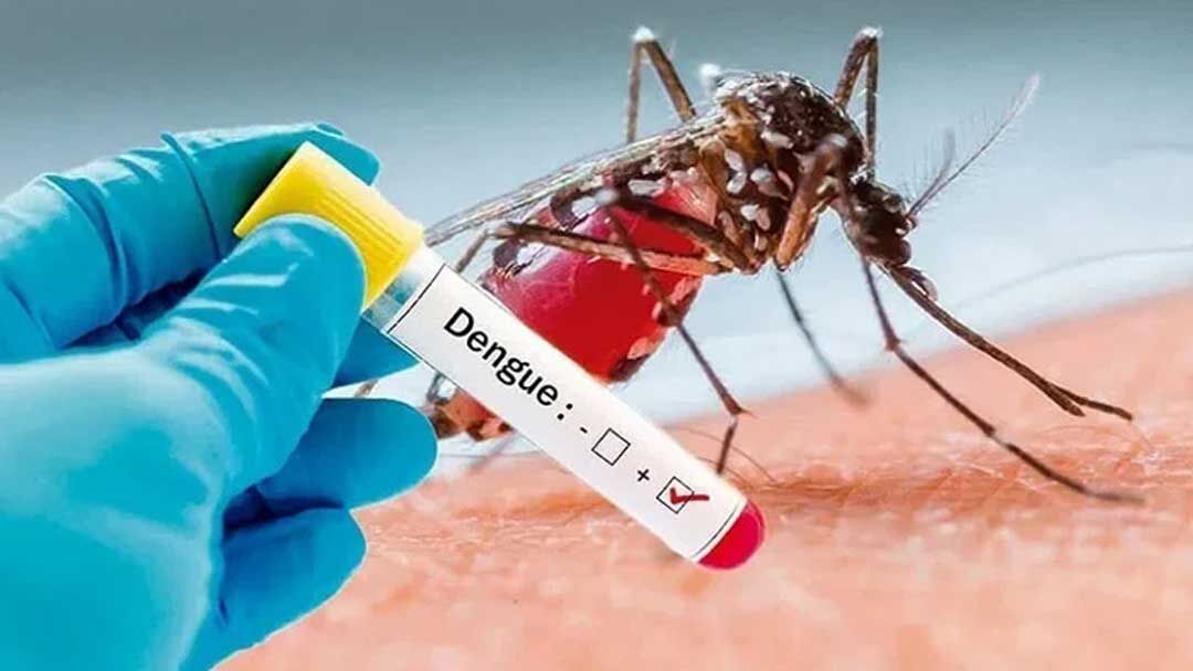 سوالات متداول درباره تب دنگی: پاسخ به ۱۰ سوال مهم درباره علائم، درمان و پیشگیری

