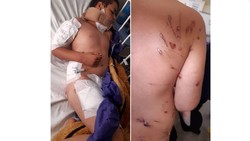 دریده شدن پسربچه توسط سگ های ولگرد در جنوب تهران + عکس+16