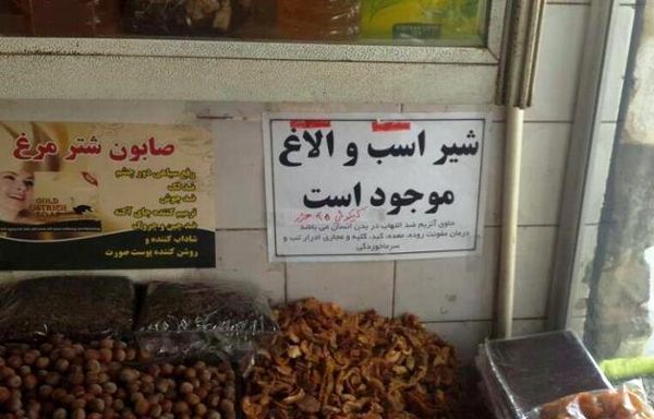 آیا شیر الاغ برای انسان خوب است؟