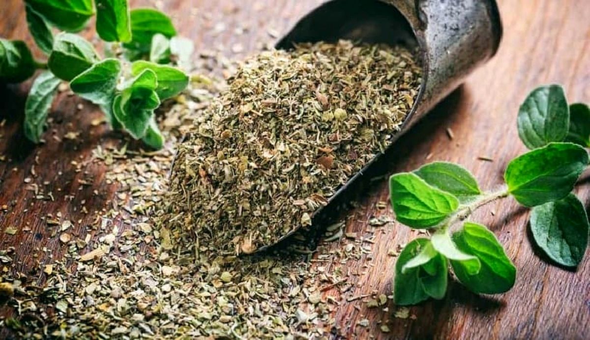 با خوردن این گیاه در کنار صبحانه سریع لاغر شوید | لاغری سریع با آویشن