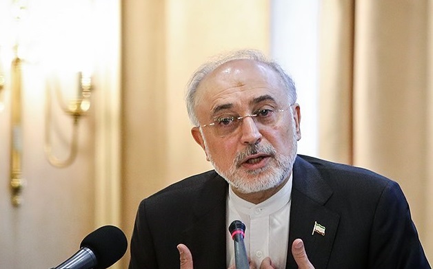 صالحی: فعالیت رآکتور آب سنگین اراک ادامه می‌یابد


