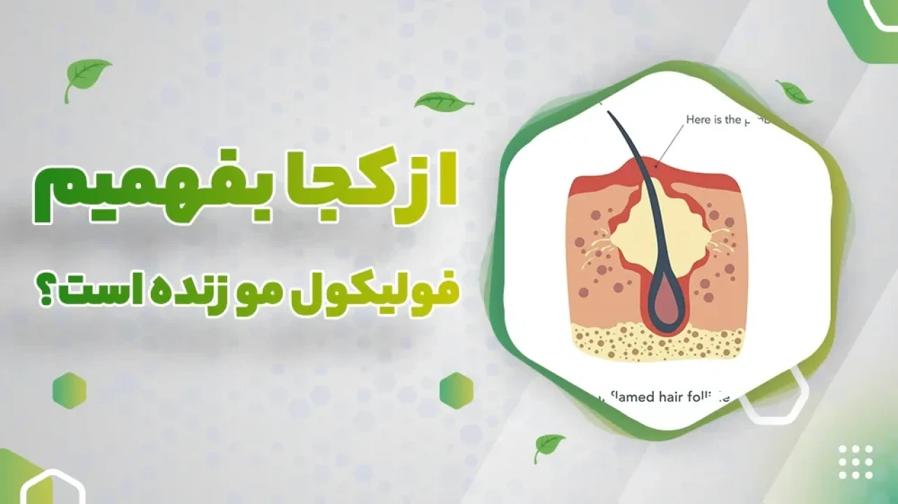 آیا فولیکول‌های از بین رفته مو دوباره فعال می‌شوند؟ + پاسخ متخصصان