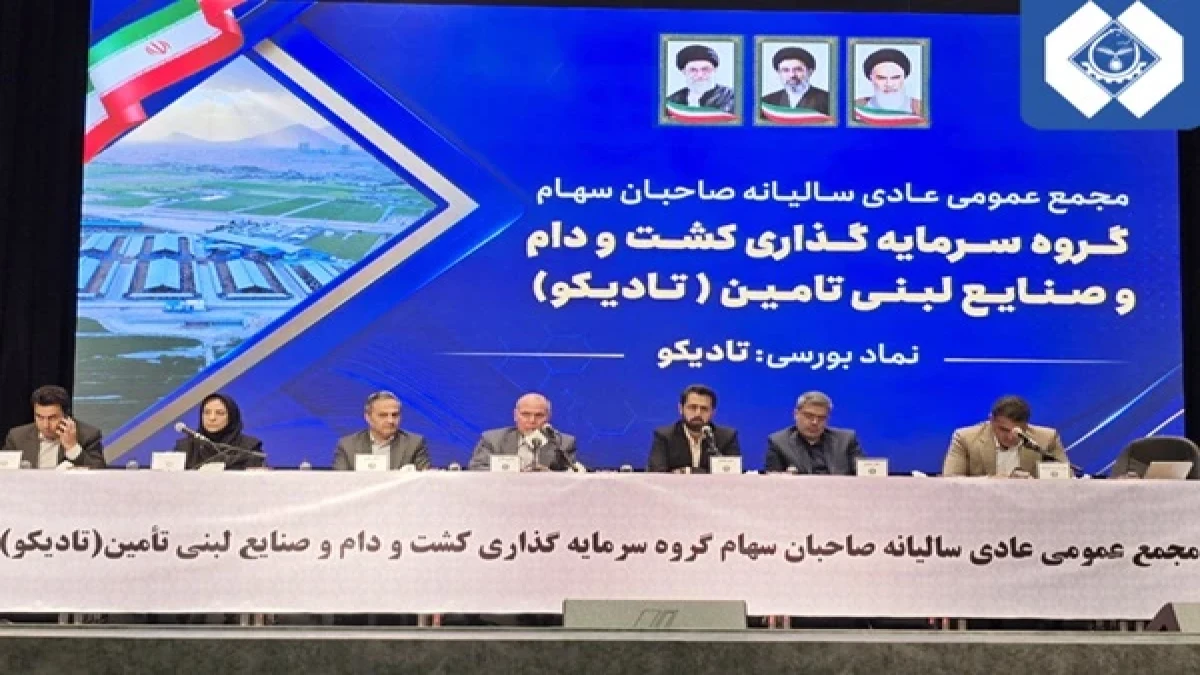 جهش ۱۱۲ درصدی سود خالص تلفیقی گروه تادیکو