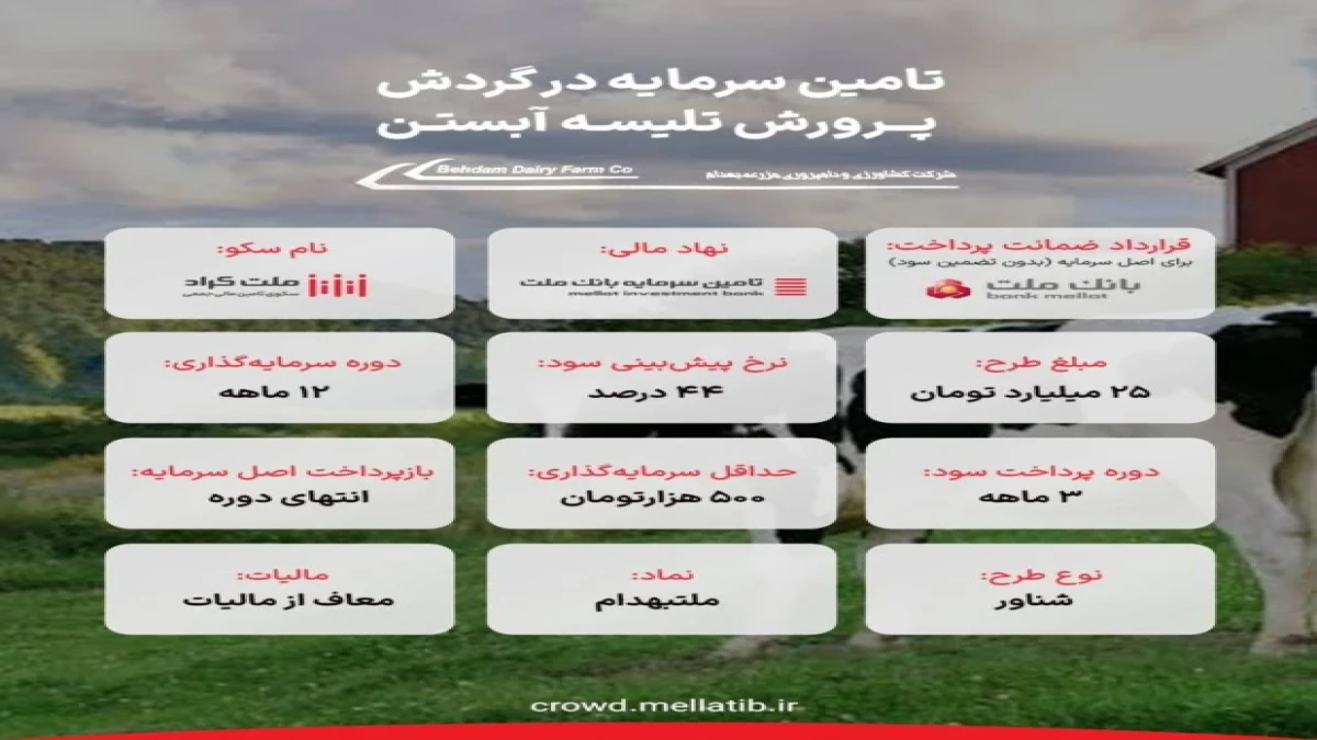 آغاز تامین مالی جمعی طرح " تامین سرمایه در گردش پرورش تلیسه آبستن "