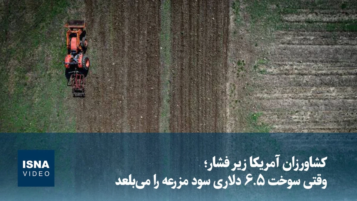 فشار افت درآمد و هزینه‌ها بر کشاورزان آمریکا؛ سوخت ۶.۵ دلاری سود مزارع را می‌بلعد