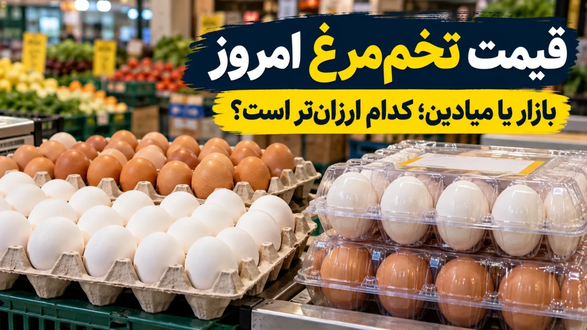 قیمت تخم‌مرغ امروز سه‌شنبه ۲۱ مهر ۱۴۰۵؛ شانه ۳۰ عددی در بازار و میادین چند تومان است؟ + جدول