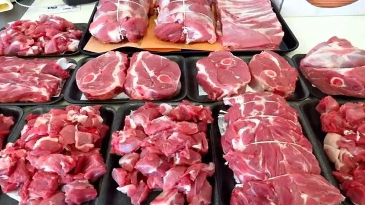 قیمت گوشت قرمز امروز ۲۲ مهر ۱۴۰۵؛ گوشت گوسفندی و گوساله چند تومان است؟ + جدول مقایسه با هفته قبل