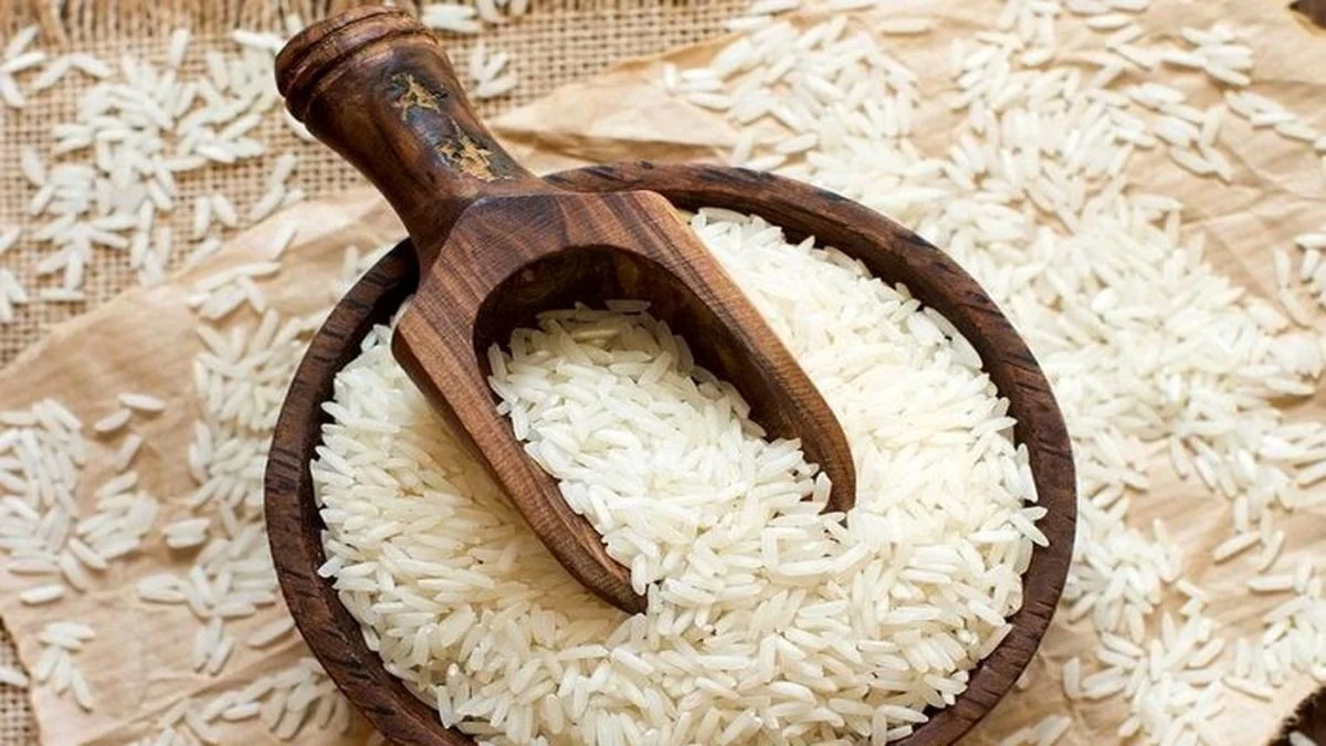 قیمت برنج امروز ۲۲ مهر ۱۴۰۵؛ برنج ایرانی و خارجی کیلویی چند شد؟ + جدول هزینه خرید