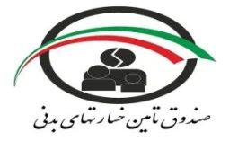 گام تازه صندوق تأمین خسارت‌های بدنی در توسعه خدمات دیجیتال