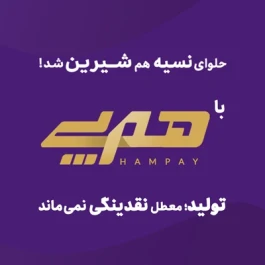 «هم‌پی» اقدام پیشتازانه بانک اقتصادنوین برای رفع موانع تولید
