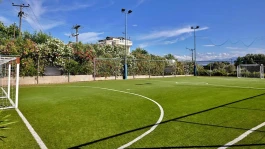 هشدار درباره از دست رفتن سهمیه آسیایی ستارگان صیدون
