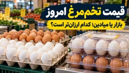 قیمت تخم‌مرغ امروز سه‌شنبه ۲۱ مهر ۱۴۰۵؛ شانه ۳۰ عددی در بازار و میادین چند تومان است؟ + جدول